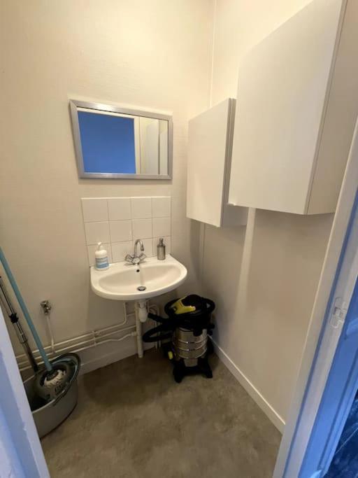 Agreable Maison De Ville Dans La Plus Belle Avenue Orléans Eksteriør billede
